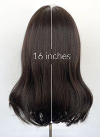 Brunette Curtain Bangs Straight Lace Front Synthetic Wig LF6080