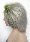 Beetlejuice Grey With Green Roots Wavy Lace Front Synthetic Men's Wig LF6082