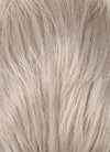 Pastel Grey Blonde Straight Lace Front Synthetic Men's Wig LF6092