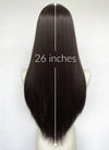 Brunette Straight Synthetic Hair Wig NS540