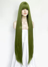 Green Straight Synthetic Hair Wig NS559