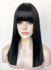 Black Straight Synthetic Hair Wig NS573