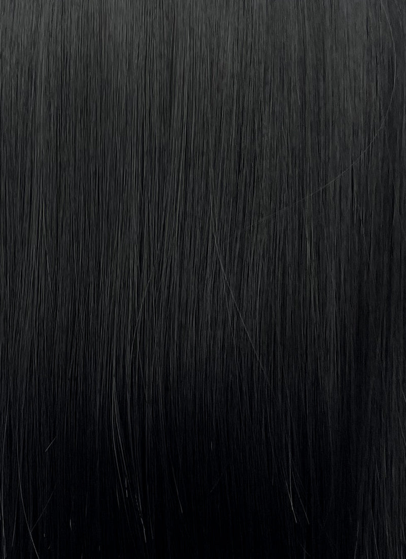 Black Straight Synthetic Hair Wig NS573