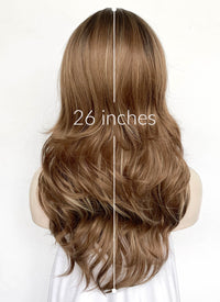 Brown Mixed Blonde With Dark Roots Wavy Synthetic Hair Wig NS592