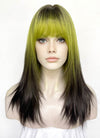 Green Black Ombre Straight Synthetic Hair Wig NS596