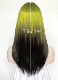 Green Black Ombre Straight Synthetic Hair Wig NS596