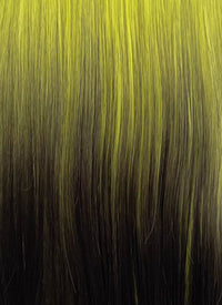 Green Black Ombre Straight Synthetic Hair Wig NS596