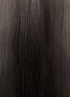 Heaven Official's Blessing Xie lian Brunette Straight Synthetic Men's Wig With Bun TB1751