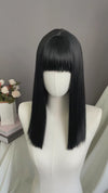 Black Straight Synthetic Hair Wig NS573